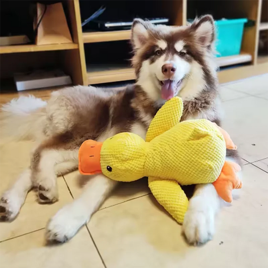 Happy Duck™ The Toy That Makes Every Dog Happier