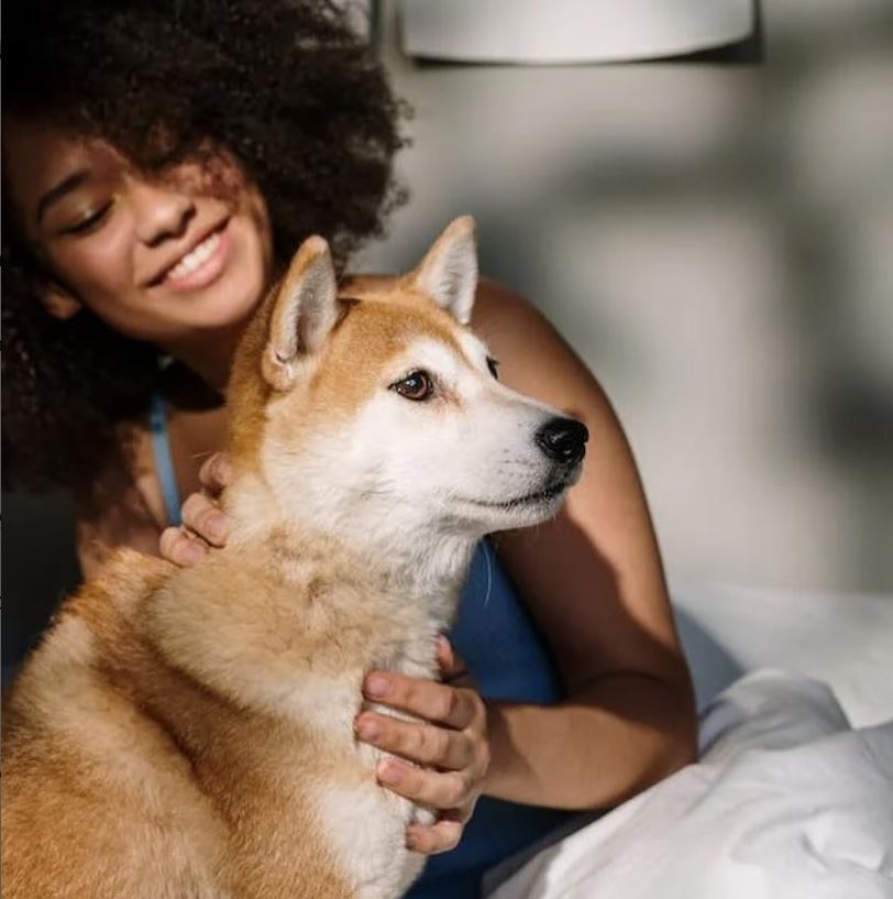 Dog Owner Collection
