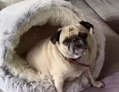 Pawfect Cocoon™ (+FREE PILLOW!)