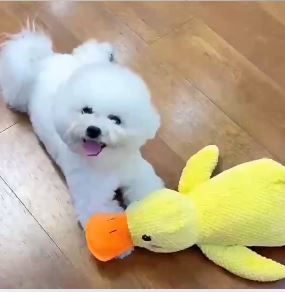 Happy Duck™ The Toy That Makes Every Dog Happier